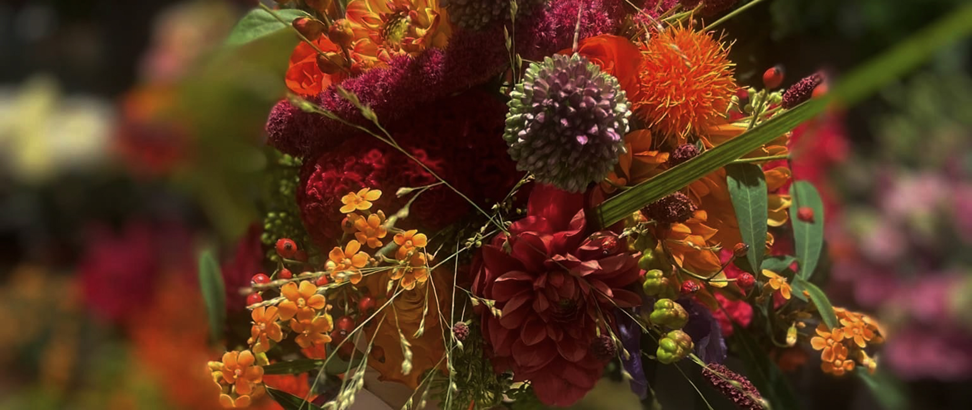 /media/vi1h3qpm/bloemen-bestellen-boeket-op-maat-bloemen-abonnementen-fraai_fleurig-heemskerk-01-slider_810px.jpg